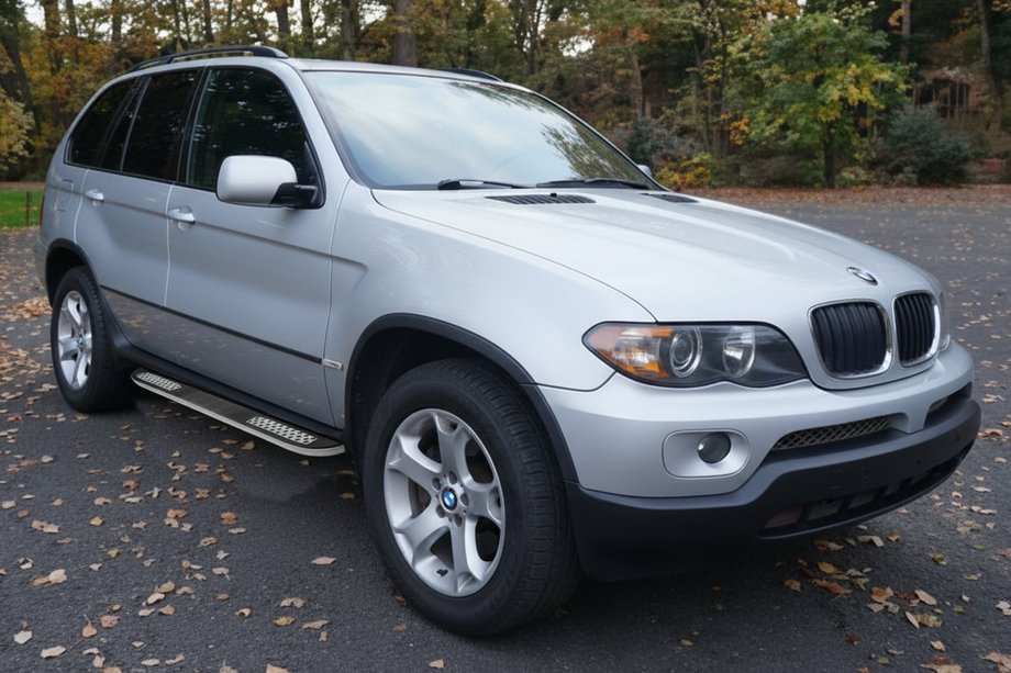 BMW X5 E53 1999–2006 Sidosteg Tayga V2 (2 st, aluminium) Image