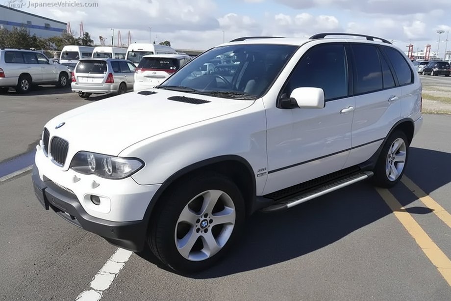 BMW X5 E53 1999–2006 Sidosteg Bosphorus Grey (2 st, aluminium) Image