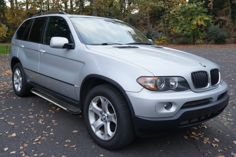BMW X5 E53 1999–2006 Sidosteg Maya V1 (2 st, aluminium) Image