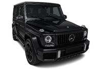 Mercedes G class W463 1990–2018 Frontgrill (GT Panamericana, utan krom) foto 4