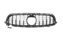 Mercedes E-klass W213 2016–2023 Panamericana GT frontgrill (AMG Line, 2020-2023) foto 2