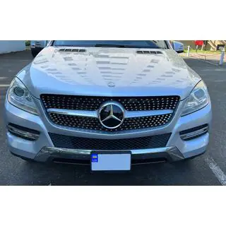 Diamond tuninggrill (för ML) foto 2