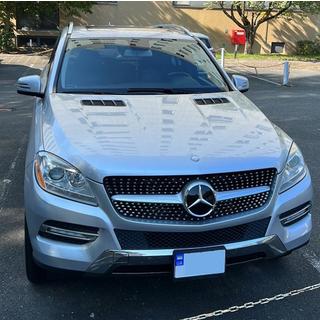 Diamond tuninggrill (för ML) Mercedes GLE/ML сlass W166 2011–2018 foto 4