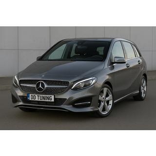 Frontgrill Diamond Silver (2015-2018) foto 1