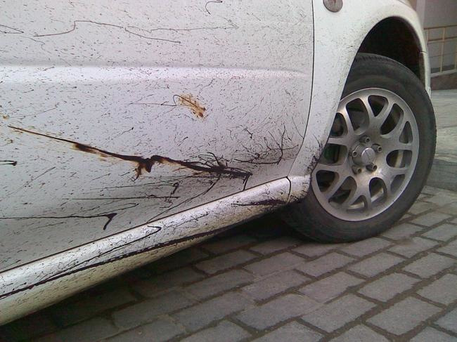 Så tar du bort tjära från bilen