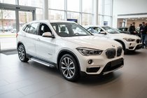 BMW X1 F48 2015–2022 Sidosteg Vision New Grey (2 st, aluminium) foto 1