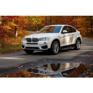 Sidotrösklar Bosphore Grey (2 st, aluminium) BMW X4 F26 2014–2018 foto 1