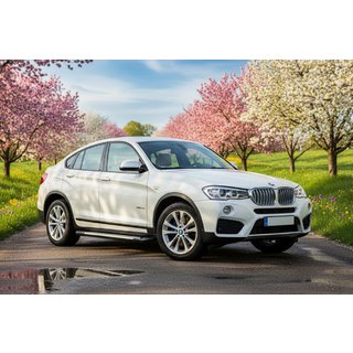 Sidosteg Allmond Grey (2 st, aluminium) BMW X4 F26 2014–2018 foto 1