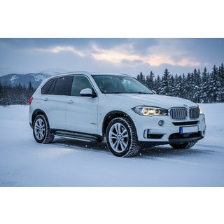 Sidosteg Rainbow (2 st, aluminium) BMW X5 F15 2013–2018 foto 1
