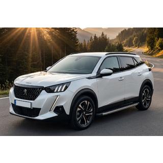 Sidosteg BlackLine (2 st, aluminium) foto 1