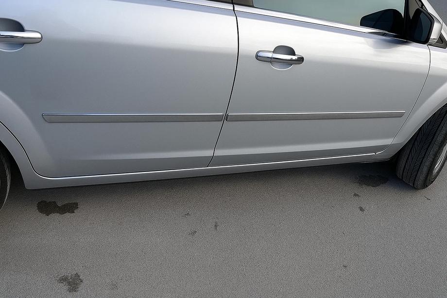 Ford Focus II 2005–2008 Dörrlister (4 st, rostfritt stål) OmsaLine – italienskt rostfritt stål Image