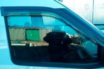 Opel Combo 2012–2018 Vindavvisare för sidorutor (2 st, HIC) foto 12