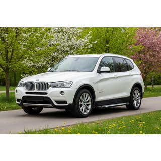 Sidosteg Allmond Grey (2 st, aluminium) BMW X3 F25 2011–2018 foto 1