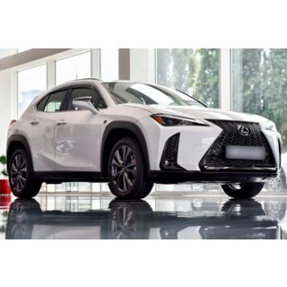 Vindavvisare med kromlist (4 st, HIC) Lexus UX 2018– foto 1