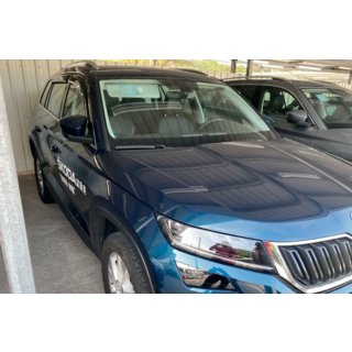 Vindavvisare för sidorutor (4 st, HIC) Skoda Kodiaq 2016–2023 foto 3