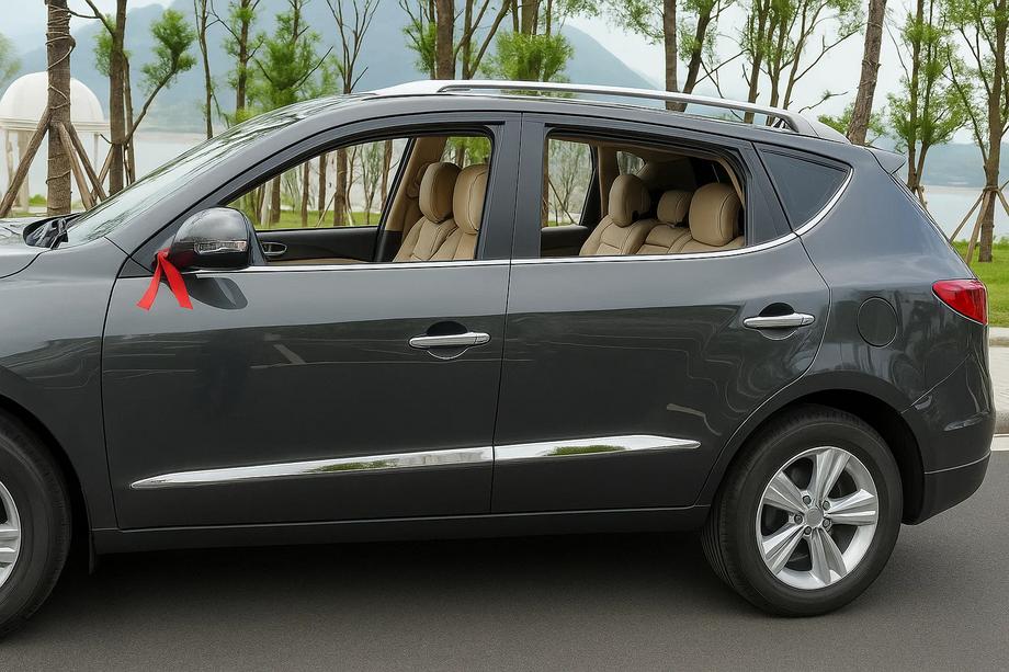 Geely Emgrand X7 2011– Libao dörrlister (4 st, plast) Image